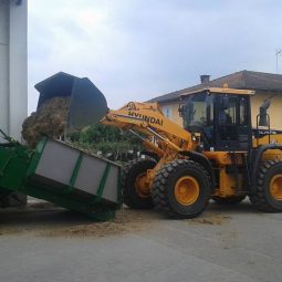 azienda camisassi